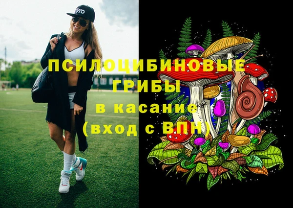 ПСИЛОЦИБИНОВЫЕ ГРИБЫ Красноперекопск