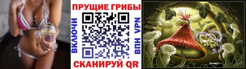 МЕГА как зайти  Людиново  Галлюциногенные грибы Psilocybine cubensis  где найти  